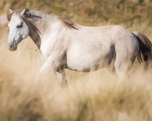 White Brumby paint by number