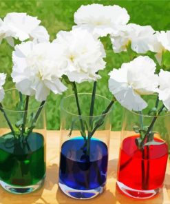 White Carnations Glasses paint by number