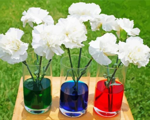 White Carnations Glasses paint by number