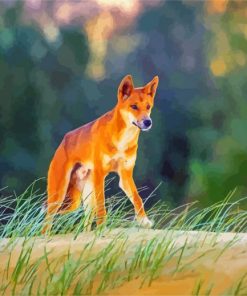 Wild Dingo paint by numbers