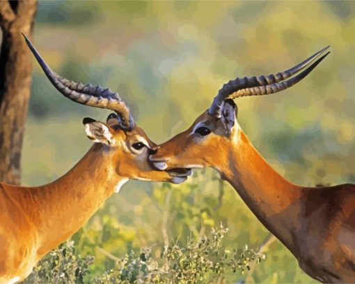 Wild Impala Antelope paint by numbers