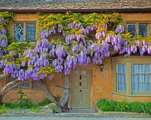 Wisteria paint by number