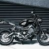 Yamaha XSR900 paint by numbers