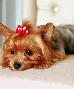 Yorkie paint by number