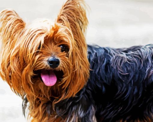 Yorkshire Terrier Puppy paint by number