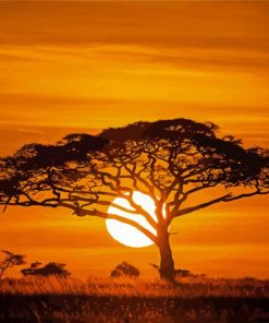 Acacia Tree Silhouette paint by number