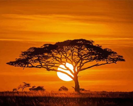 Acacia Tree Silhouette paint by number