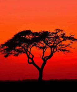 Acacia Tree Sunset Silhouette paint by number