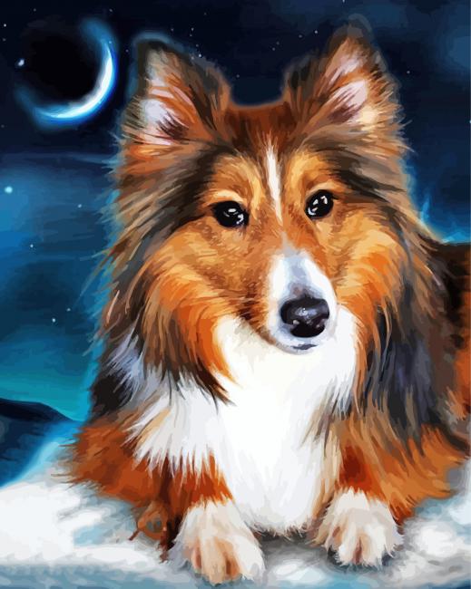 Adorable Sheltie paint by number