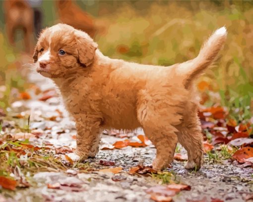 Adorable Toller Dog paint by numbers