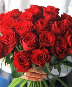 Aesthetic Red Roses paint by number
