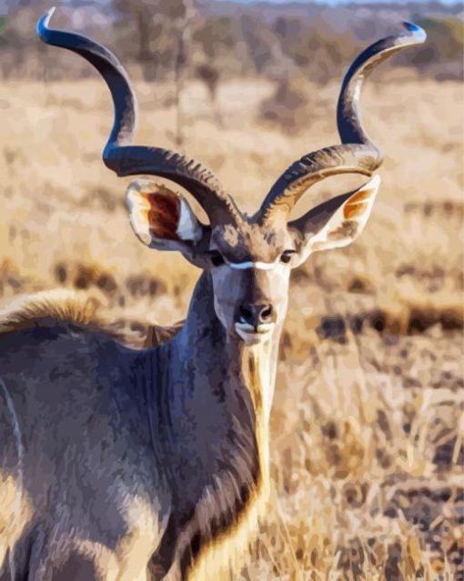 Aesthetic Kudu paint by number