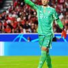 Aesthetic Manuel Neuer paint by numbers