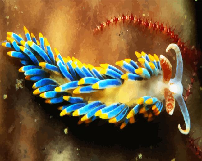 Aesthetic Nudibranch paint by number