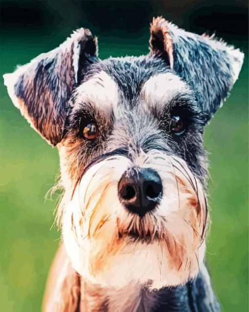 Aesthetic Schnauzer paint by numbers