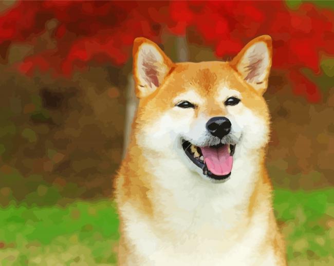 Aesthetic Shiba Inu paint by number