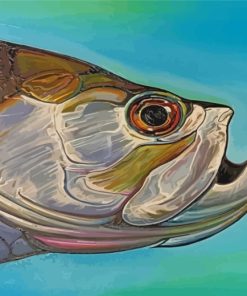 Aesthetic Tarpon Fish paint by numbers