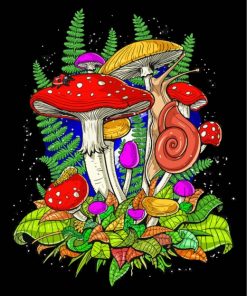 Aesthetic Toadstools Illustration paint by numbers