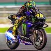 Aesthetic Valentino Rossi paint by numbers