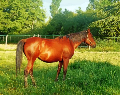Aesthetic Brown Mare paint by numbers