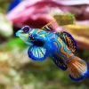 Aesthetic Colorful Fish paint by numbers