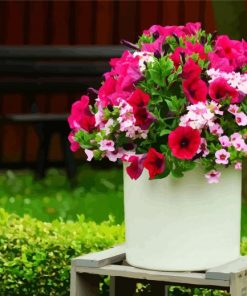 Aesthetic Petunias paint by number