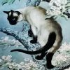 Aesthetic Siamese Art Cat paint by numbers
