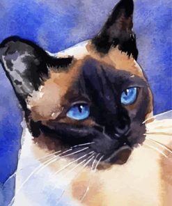 Aesthetic Siames Cat Illustration paint by numbers
