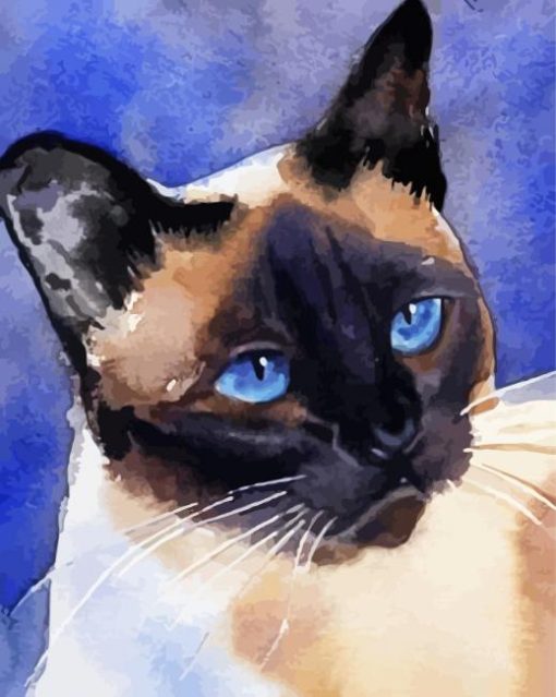 Aesthetic Siames Cat Illustration paint by numbers