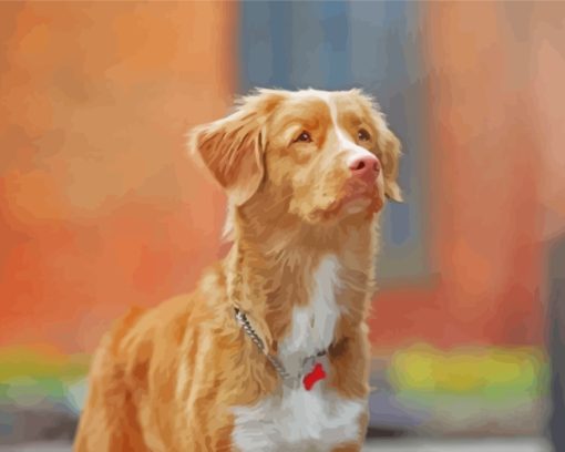 Aesthetic Toller Pet paint by numbers