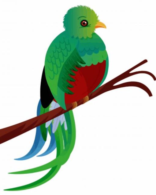 Art Quetzal Bird paint by numbers