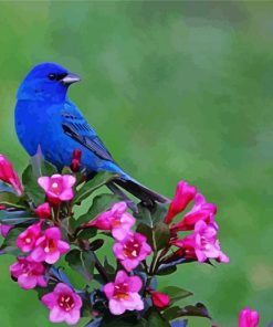 Beautiful Blue Bird And Flowers paint by number