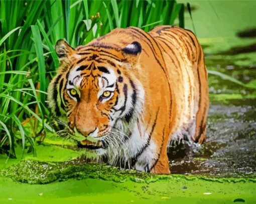 Bengal Tiger In The Water paint by number