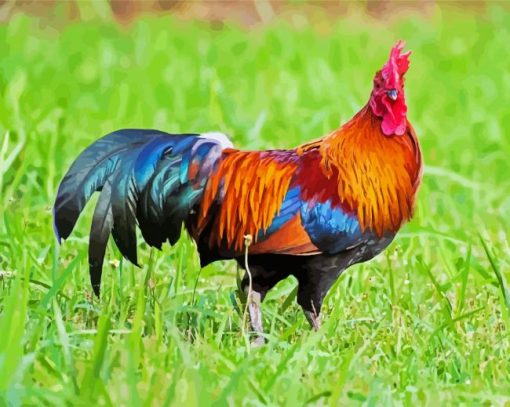 Bird Rooster paint by number