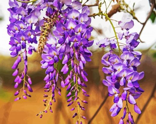 Blooming Wisteria paint by number
