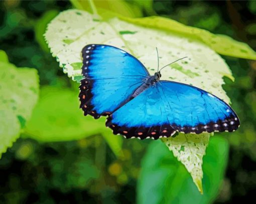 Blue Butterfly paint by number