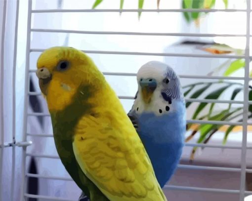 Blue And Yellow Budgerigars paint by number