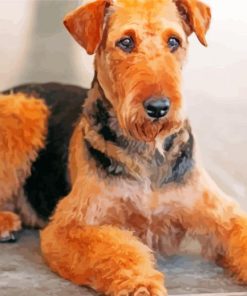 Brown Dog Airedale Terrier paint by number