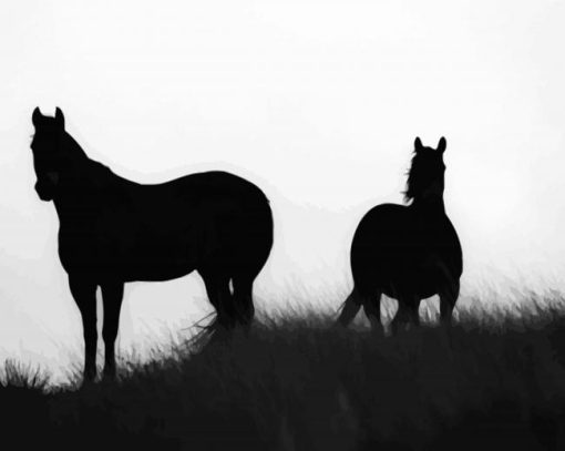 Brumbies Silhouette paint by number