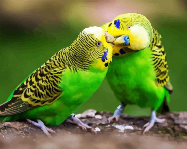 Budgerigar Couple paint by number