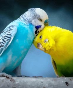 Budgerigar Lovers paint by number