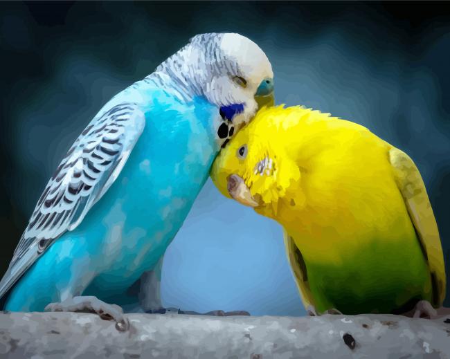 Budgerigar Lovers paint by number