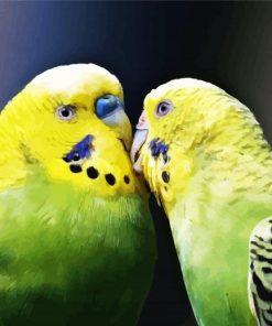 Budgerigars In Love paint by numbers