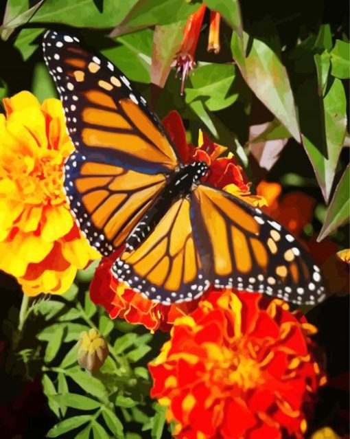 Butterfly On Marigolds paint by numbers