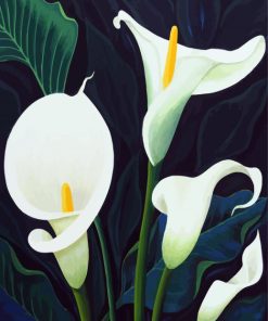 Calla Lily Plants paint by numbers
