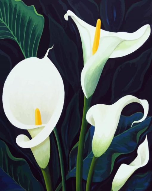 Calla Lily Plants paint by numbers
