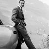 Classy Black And White Sean Connery James Bond paint by numbers