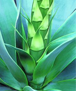 Close Up Agave paint by numbers