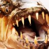 Close Up Tigerfish paint by numbers