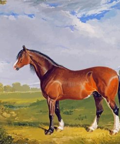 Clydesdale Stallion paint by number